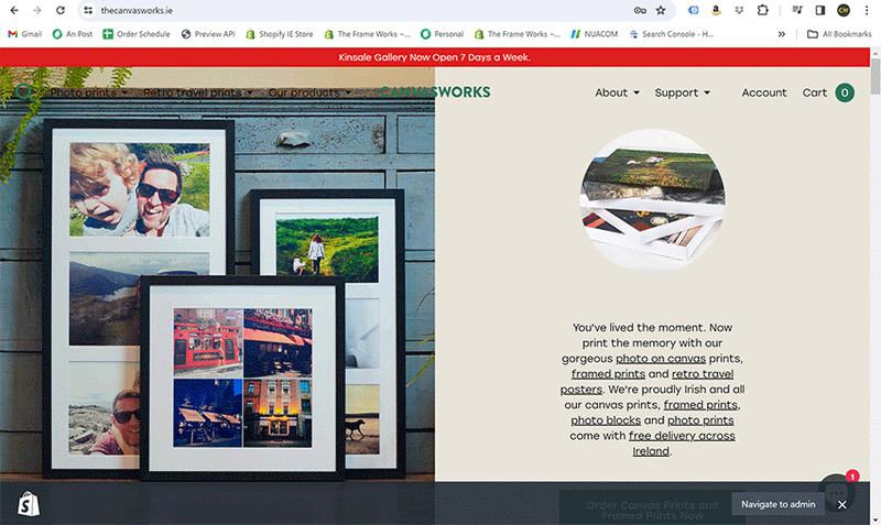 Shopify Weakness pros and cons