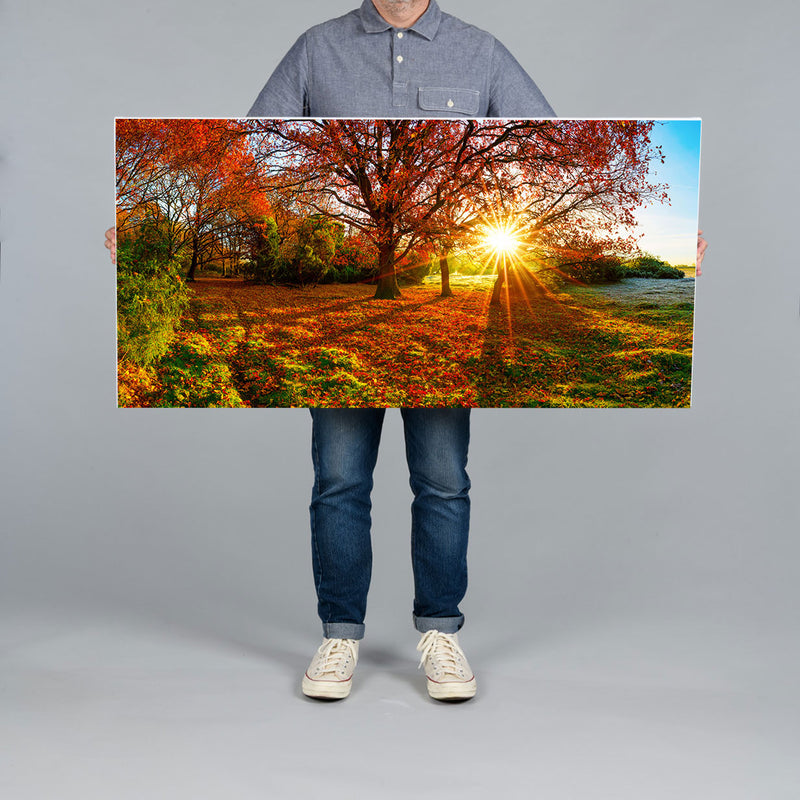 A man holds a 120x60cm panoramic canvas print of an autumn scene